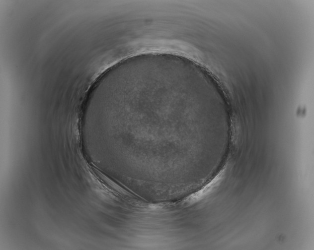 X0000094441497200711081236