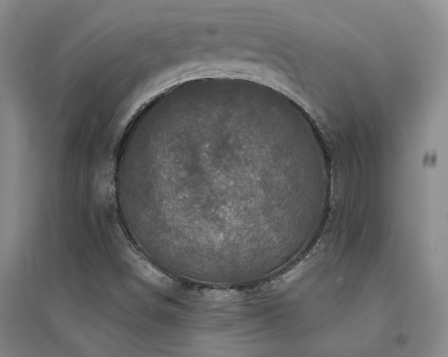 X0000094441498200711081236