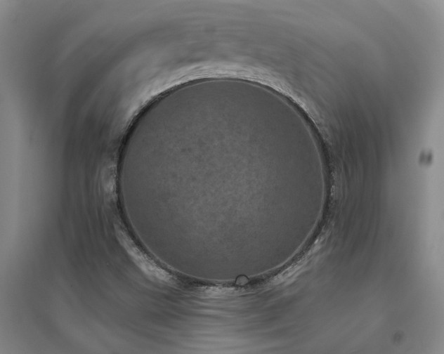 X0000094441499200711081236