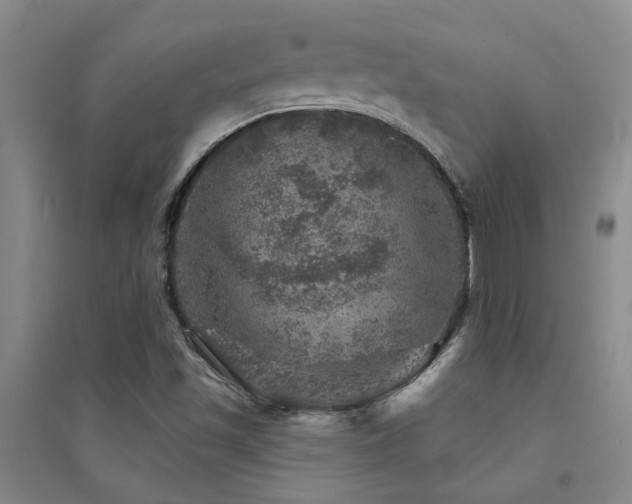 X0000094441501200711081236