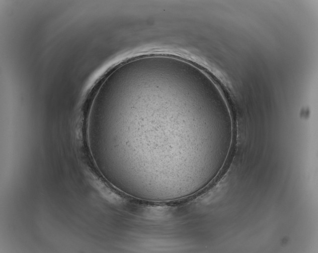 X0000094441502200711081236