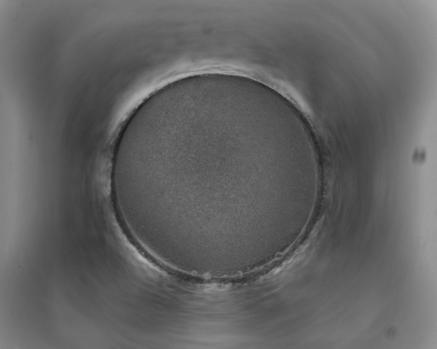 X0000094441504200711081236