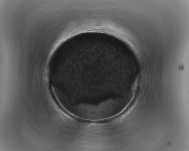 X0000094441506200711081236