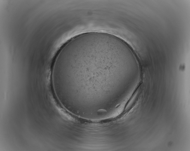 X0000094441507200711081236