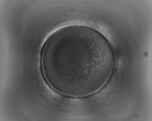 X0000094441508200711081236