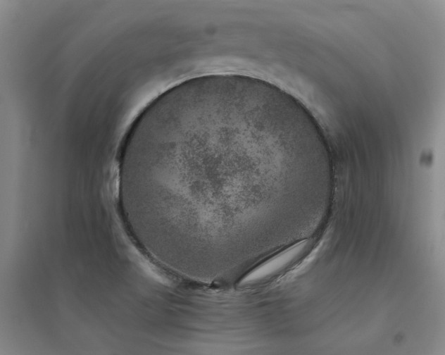 X0000094441509200711081237