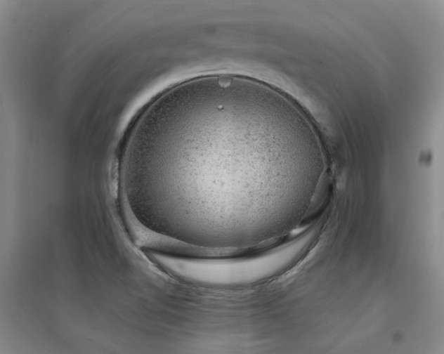 X0000094441510200711081237