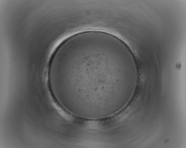 X0000094441511200711081237