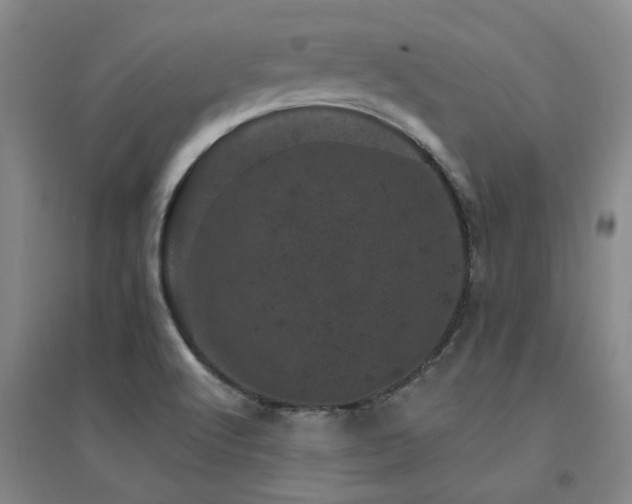 X0000094441512200711081237