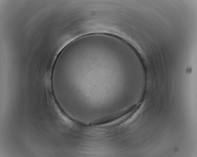 X0000094441513200711081237