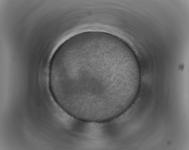 X0000094441514200711081237