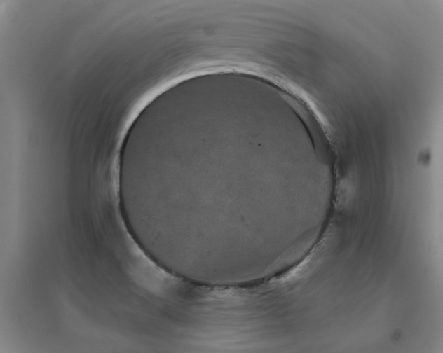 X0000094441516200711081237