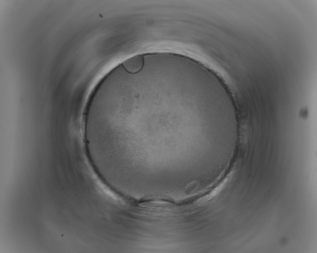 X0000094441517200711081237
