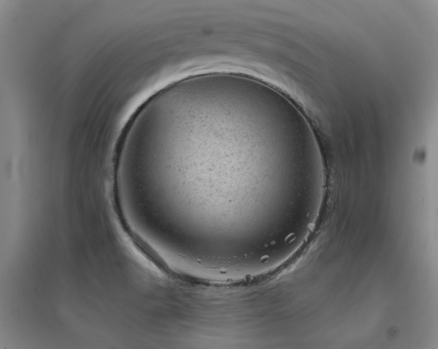 X0000094441518200711081237