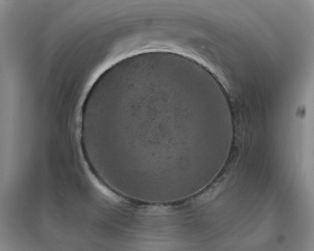 X0000094441519200711081237