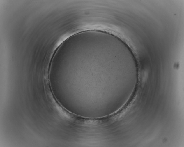X0000094441521200711081237