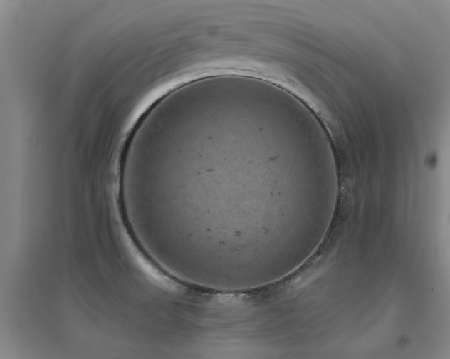 X0000094441523200711081237