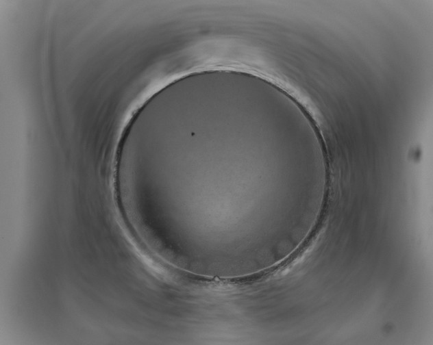 X0000094441525200711081237
