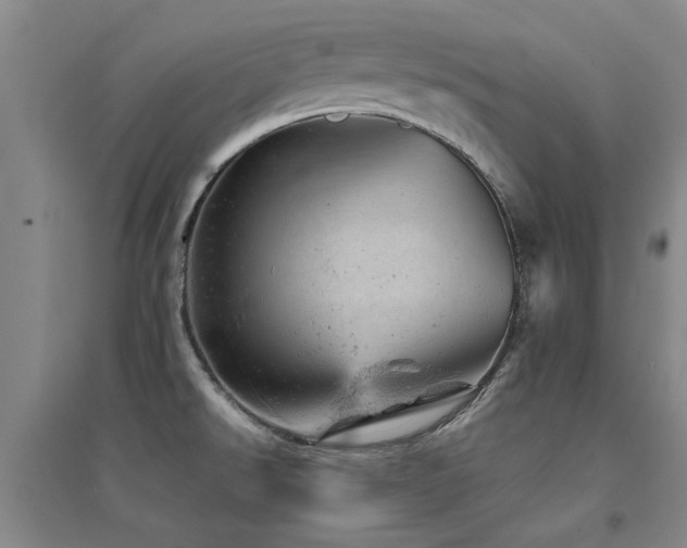 X0000094441526200711081237
