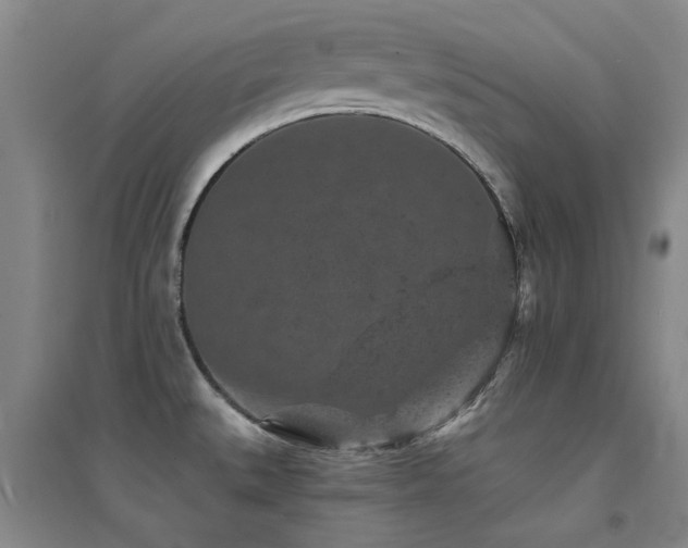 X0000094441527200711081237