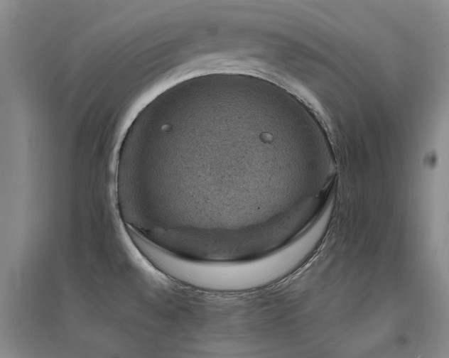 X0000094441528200711081237