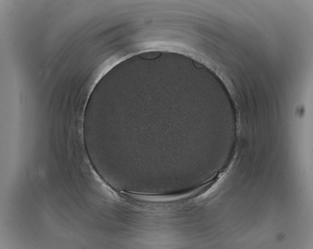 X0000094441529200711081237