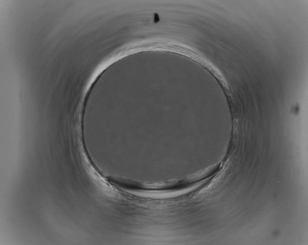 X0000094441530200711081237