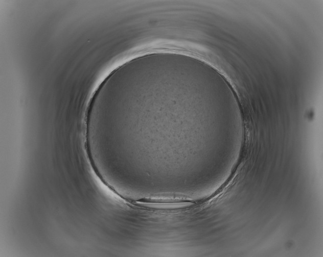 X0000094441531200711081237