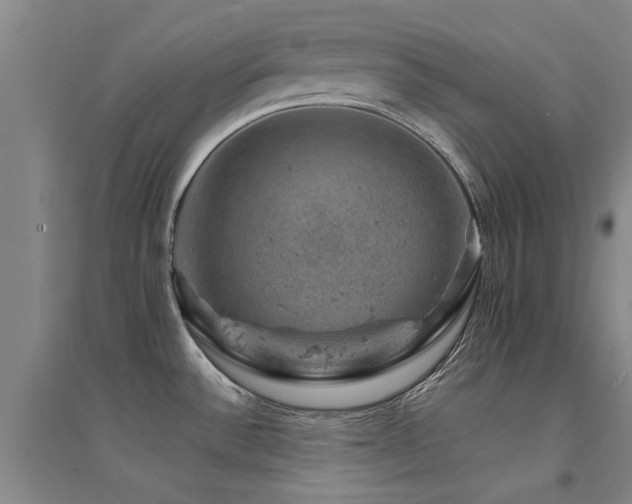 X0000094441532200711081237