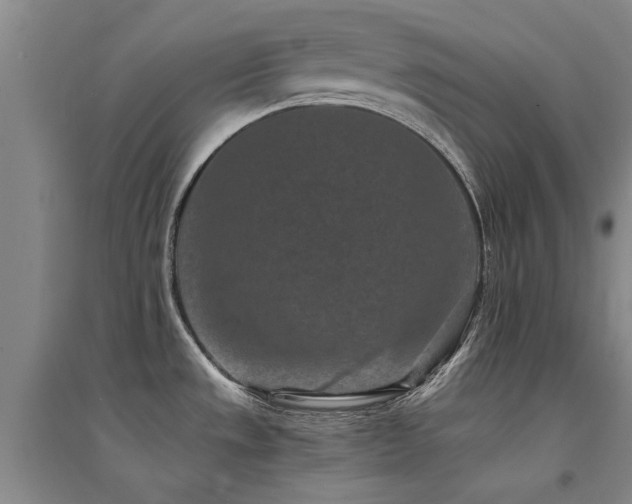 X0000094441533200711081237