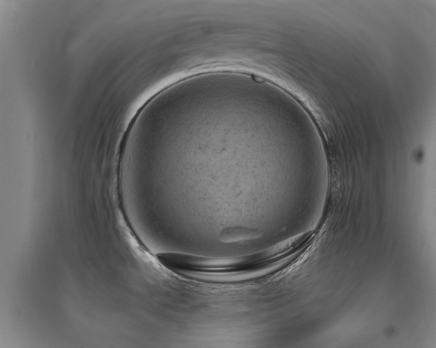 X0000094441534200711081237