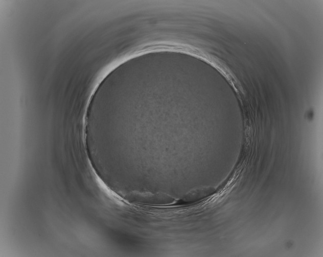 X0000094441535200711081237