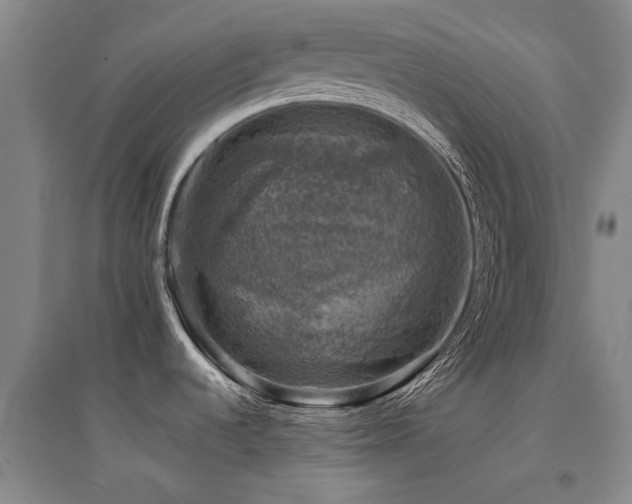 X0000094441536200711081237