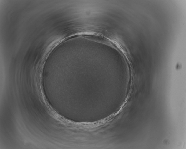 X0000094440001200711151415