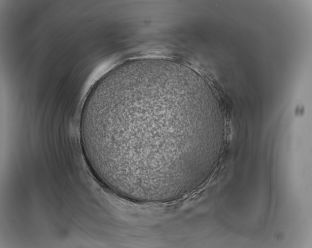 X0000094440004200711151415