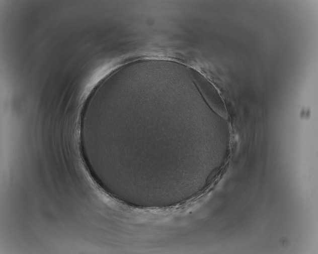 X0000094440005200711151415