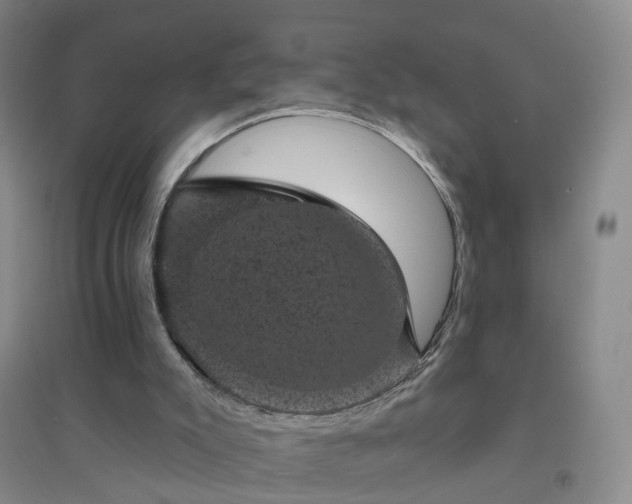 X0000094440007200711151415