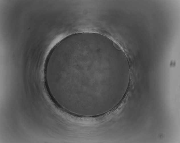 X0000094440008200711151415