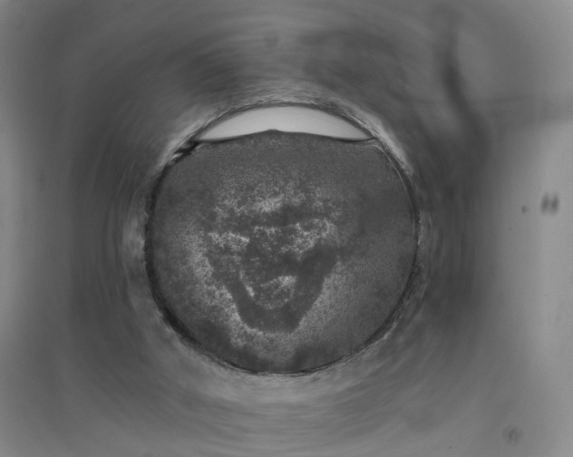 X0000094440010200711151415