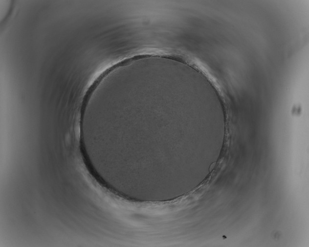 X0000094440011200711151415