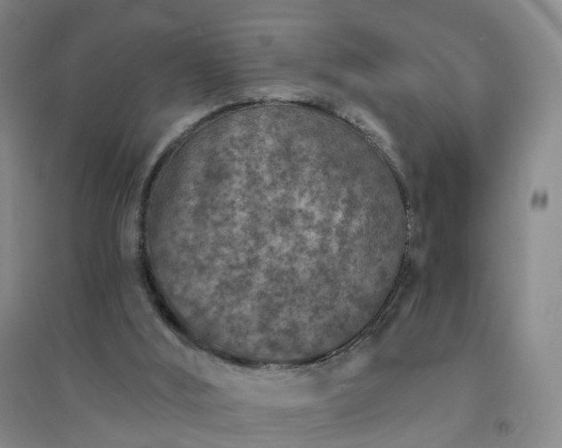 X0000094440012200711151415