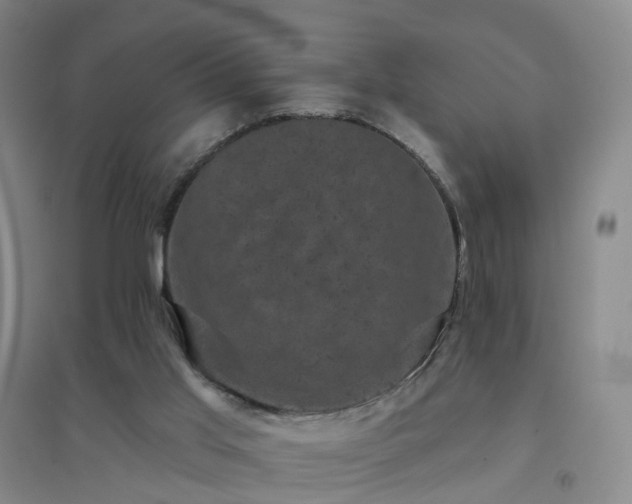 X0000094440013200711151415
