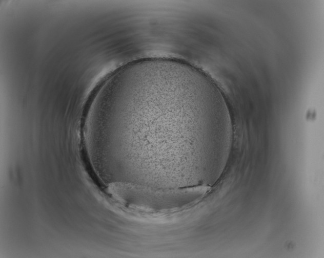 X0000094440015200711151415