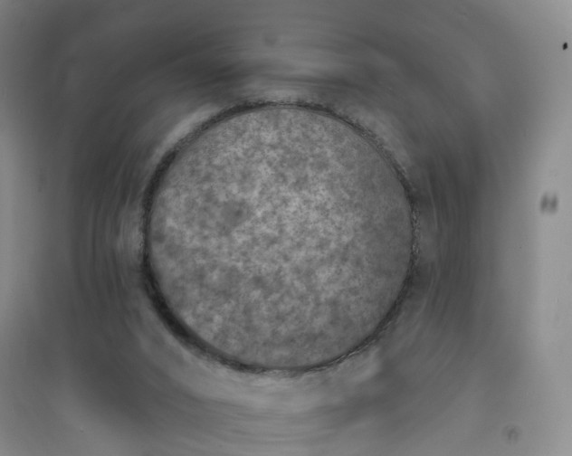 X0000094440016200711151415