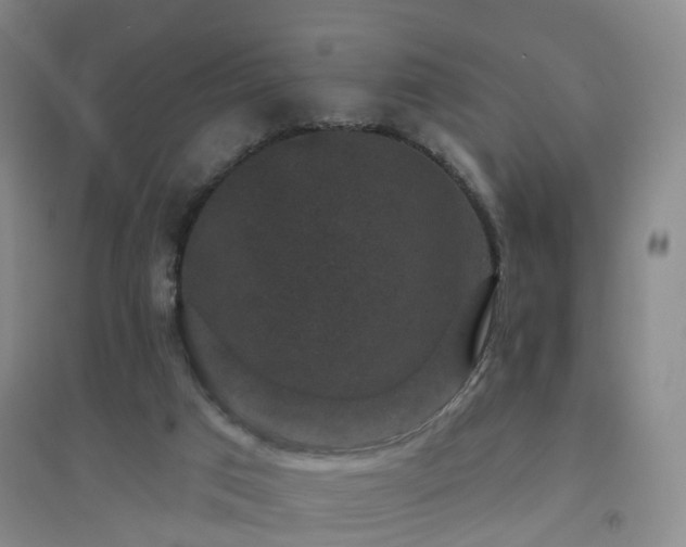 X0000094440017200711151415