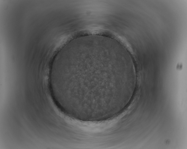 X0000094440018200711151415