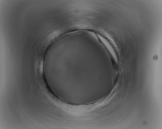 X0000094440019200711151415