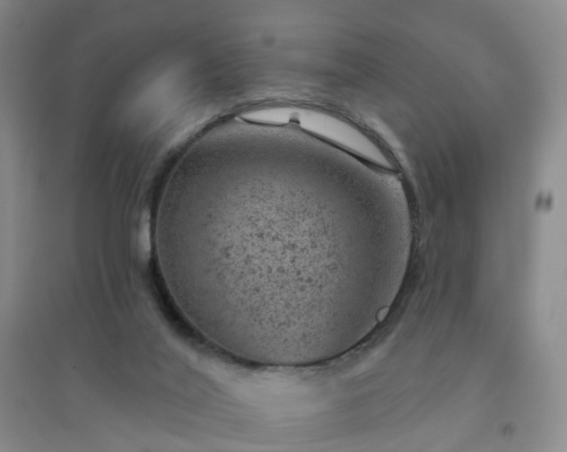 X0000094440020200711151415