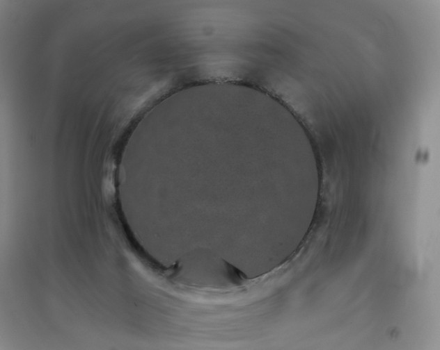 X0000094440021200711151415