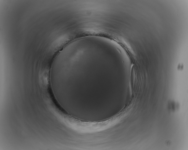 X0000094440023200711151415